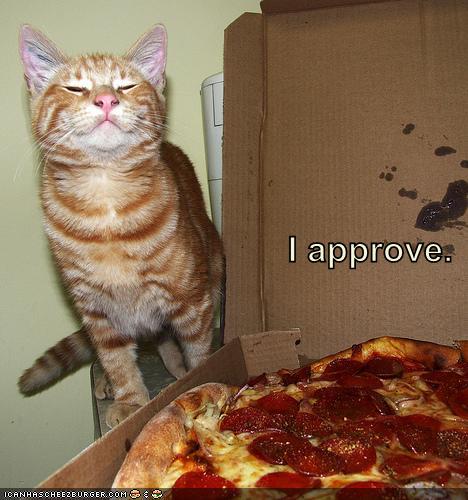 Good Cat Food For Cats That Throw Up Good Cat Food For Cats That Throw Up