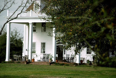 notebook charleston tour carolina south island old filmed filming locations southern sc tree carolineinthecityblog where scene travel oak year plantation