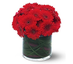 [EMXL9Y8FDPDK9G3XLQS4_L.jpg]