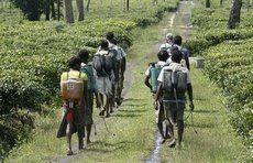 ။ Siliguri, 14 May :