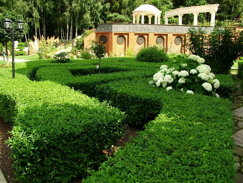 home garden design