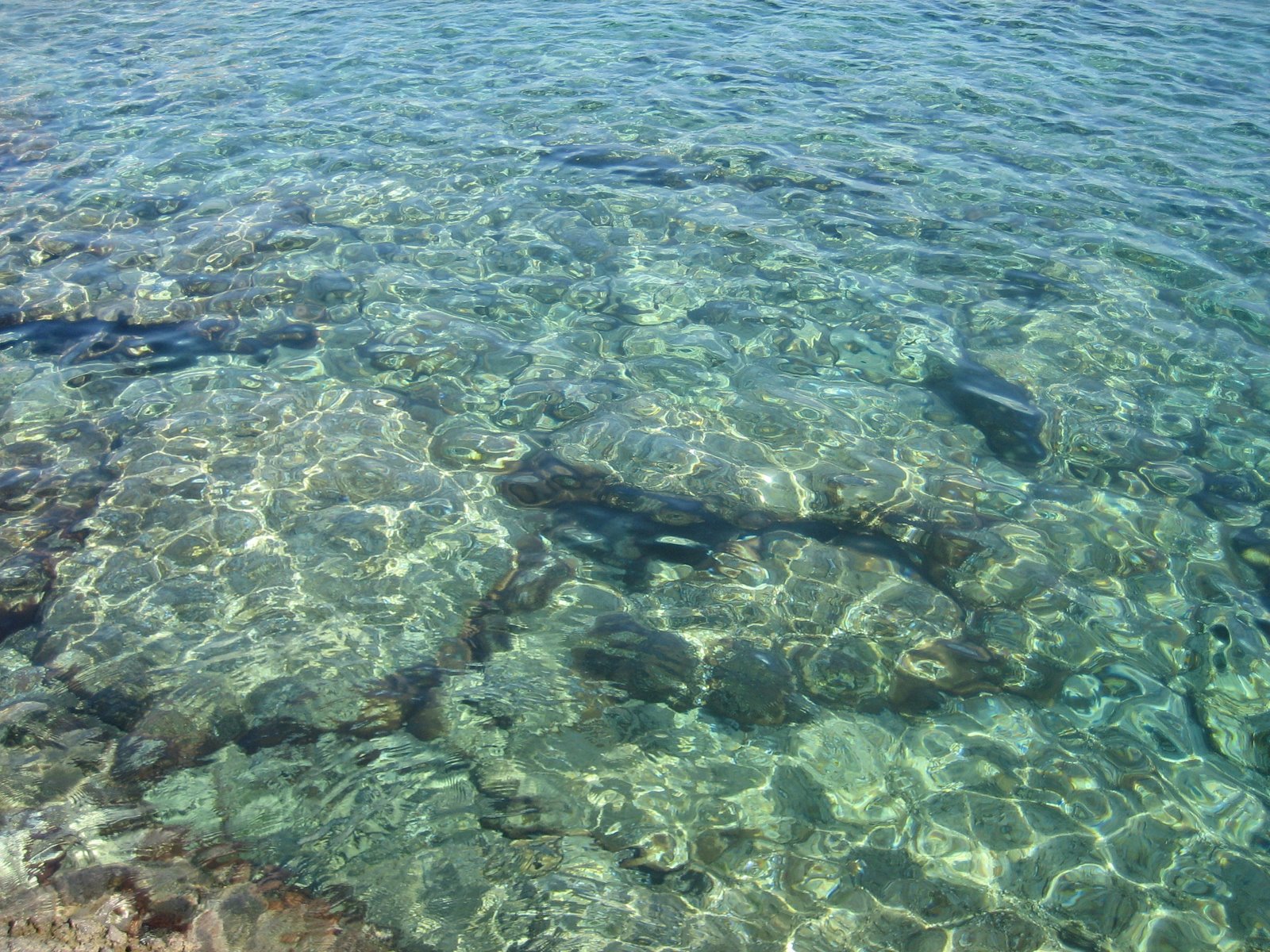 [IMG_0235.JPG]