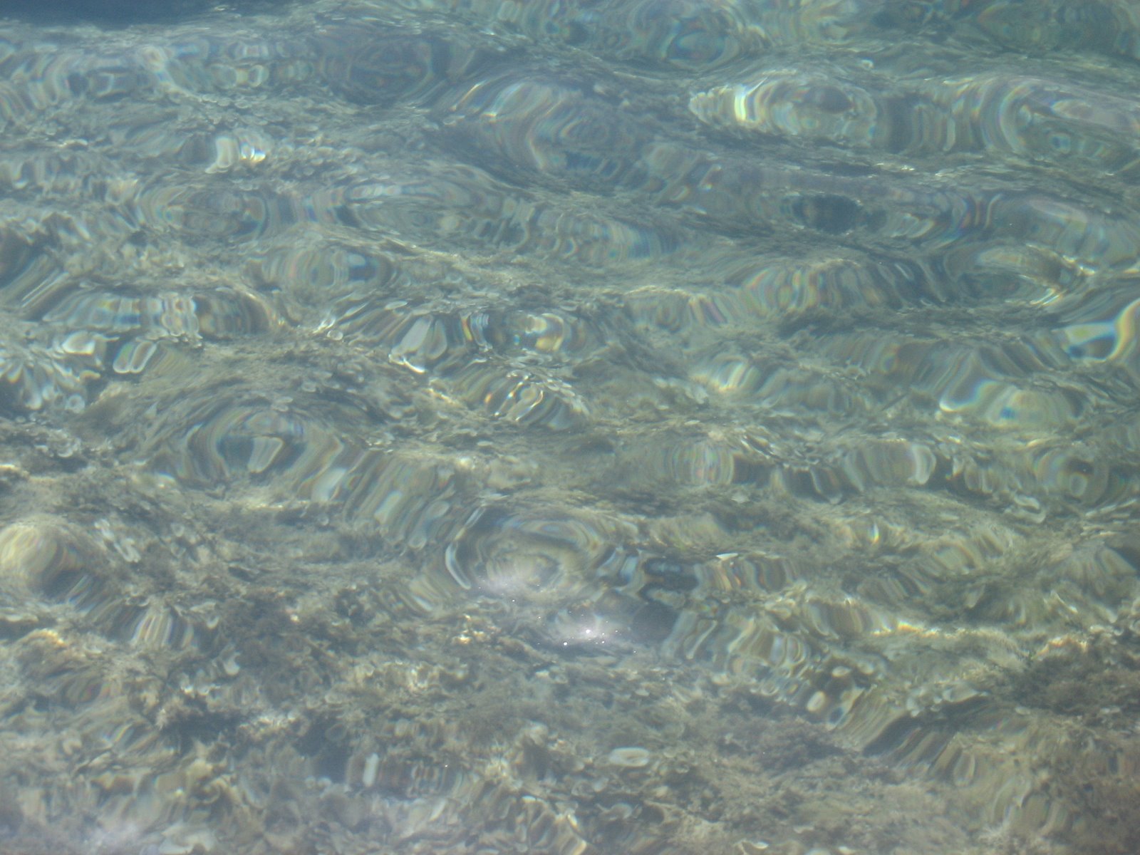 [IMG_2333.JPG]