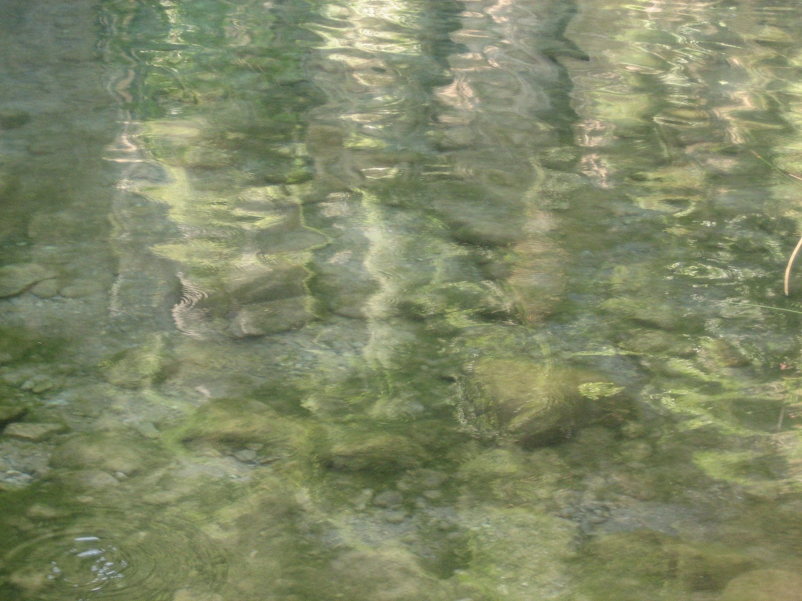[IMG_2224.JPG]