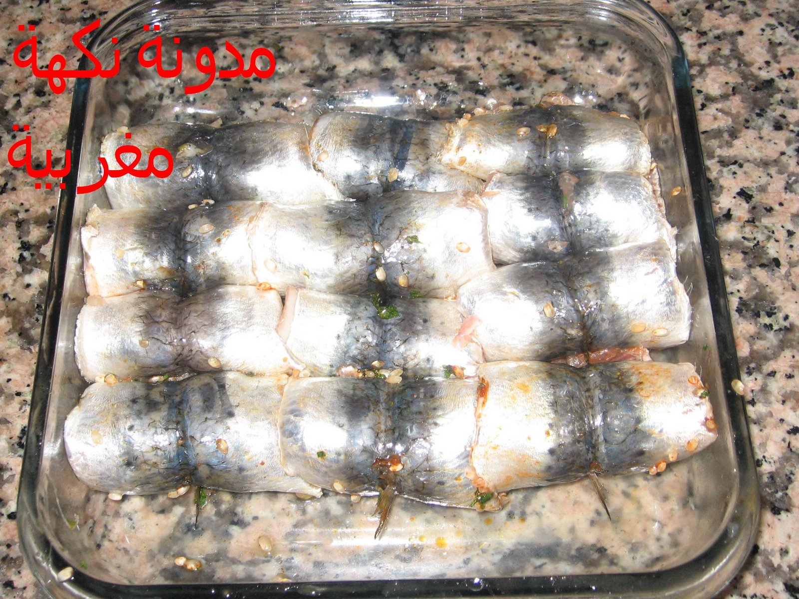 [IMG_00081.JPG]