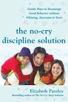 Book Review: The No-Cry Discipline Solution 1
