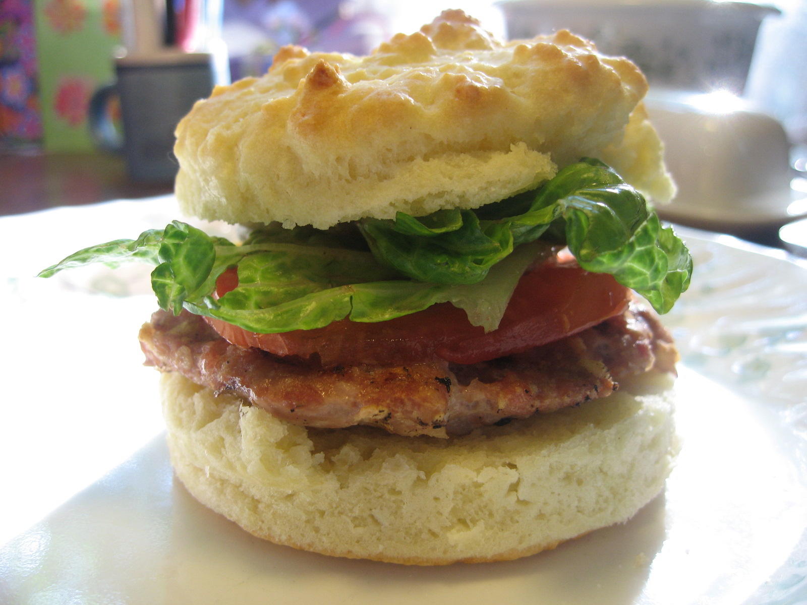 The Allergy Free Kitchen Kim's Turkey Chicken Burgers