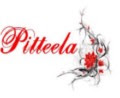 BLOG PITTEELA