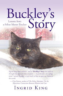 Buckleys Story1
