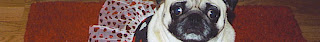 PugPossesed