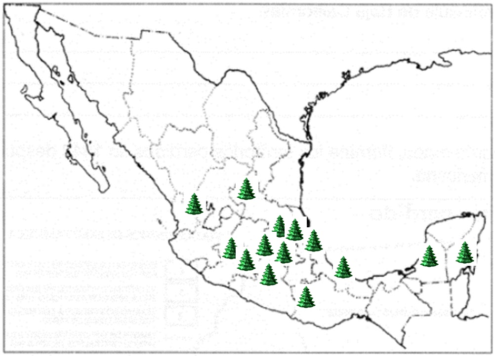 mapa de volcanes en mexico
