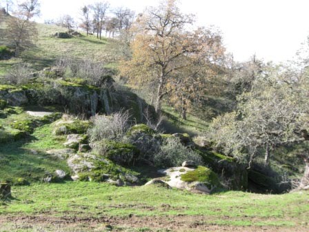 [IMG_0057.JPG]