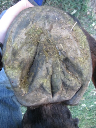 [IMG_2606.JPG]