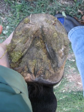 [IMG_2604.JPG]