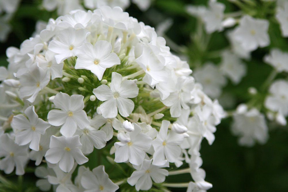 [IMG_1715smaller.jpg]