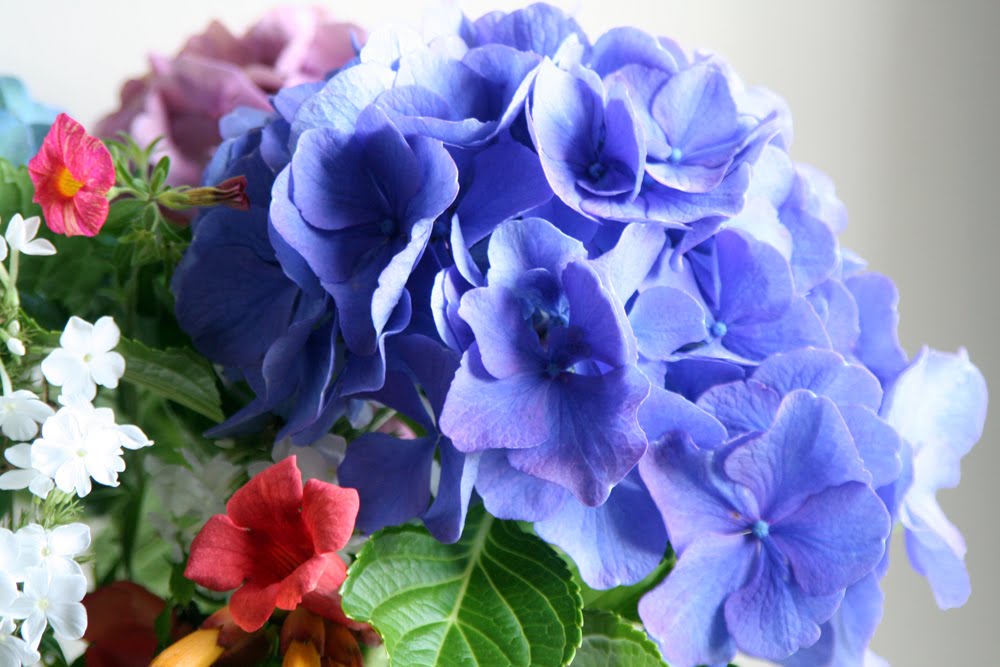 [IMG_3543rs.jpg]