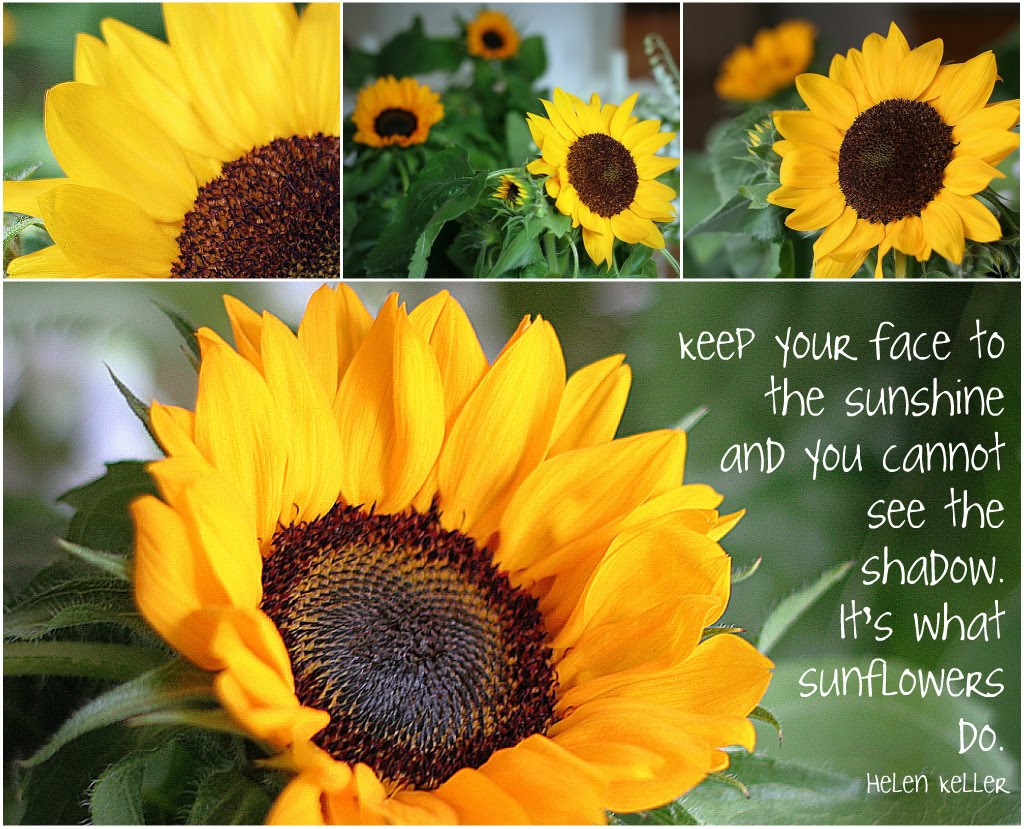 Mosaic Monday Sunflowers Grateful Prayer Thankful Heart