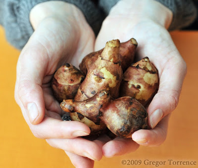 Jerusalem Artichoke & Brussels Sprout Salad, Plus A Book Giveaway Jerusalem Artichoke & Brussels Sprout Salad, Plus A Book Giveaway