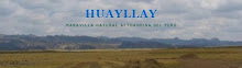 Visite Huayllay - Al BOSQUE DONDE REINA LA PIEDRA