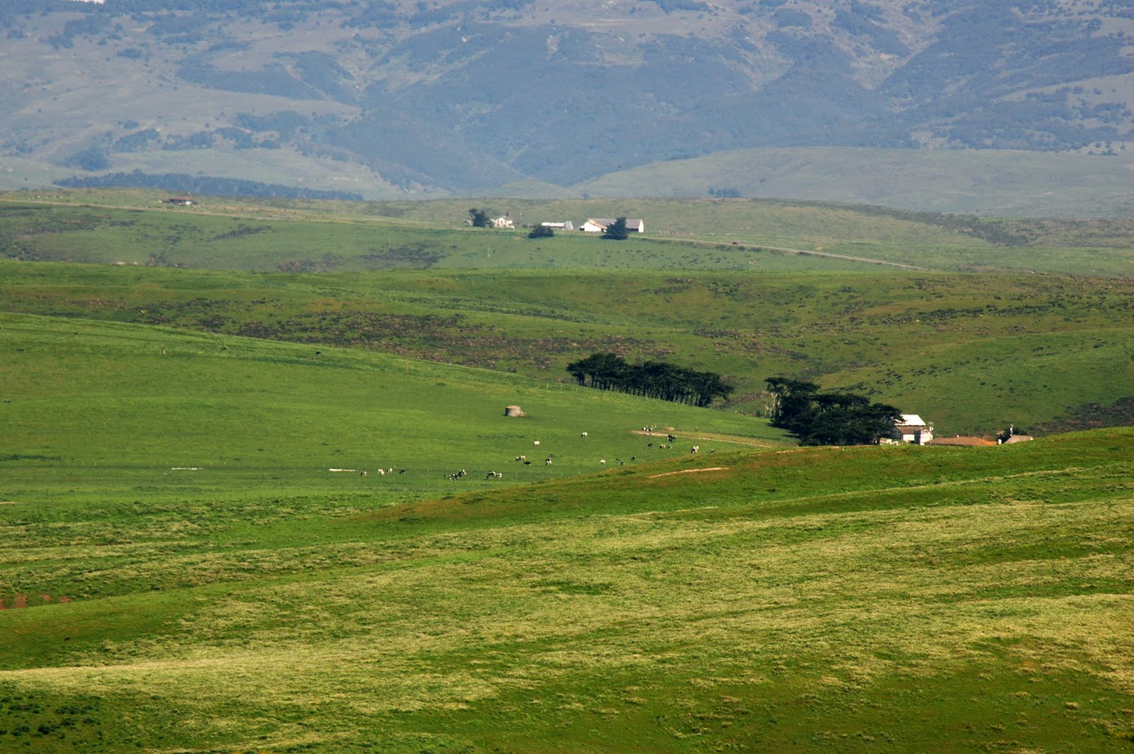 Tales of Adventure of an Ordinary Life: Point Reyes National Seashore