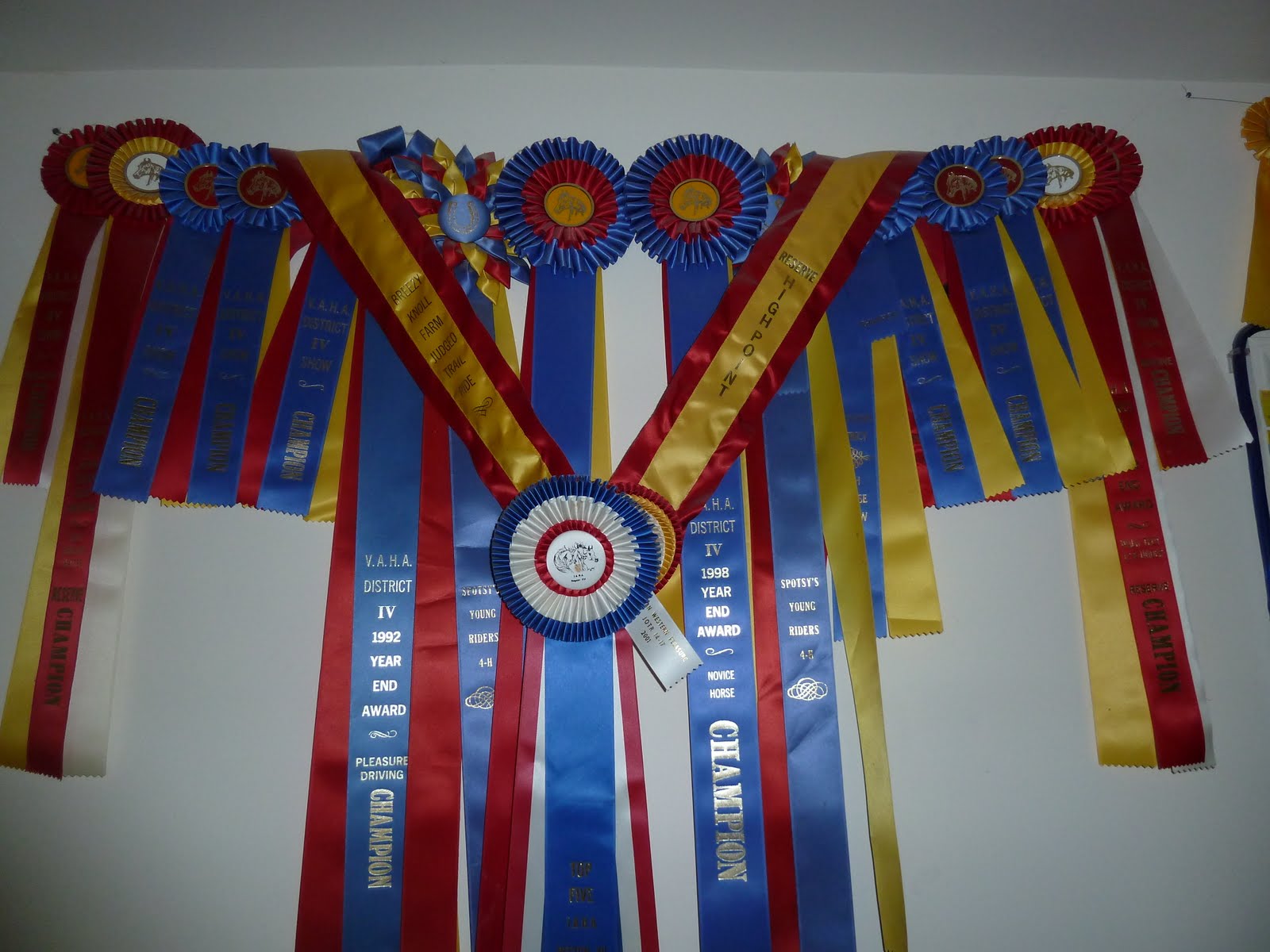 CRYSTAL CLEAR Oh What to do with Horse Show Ribbons