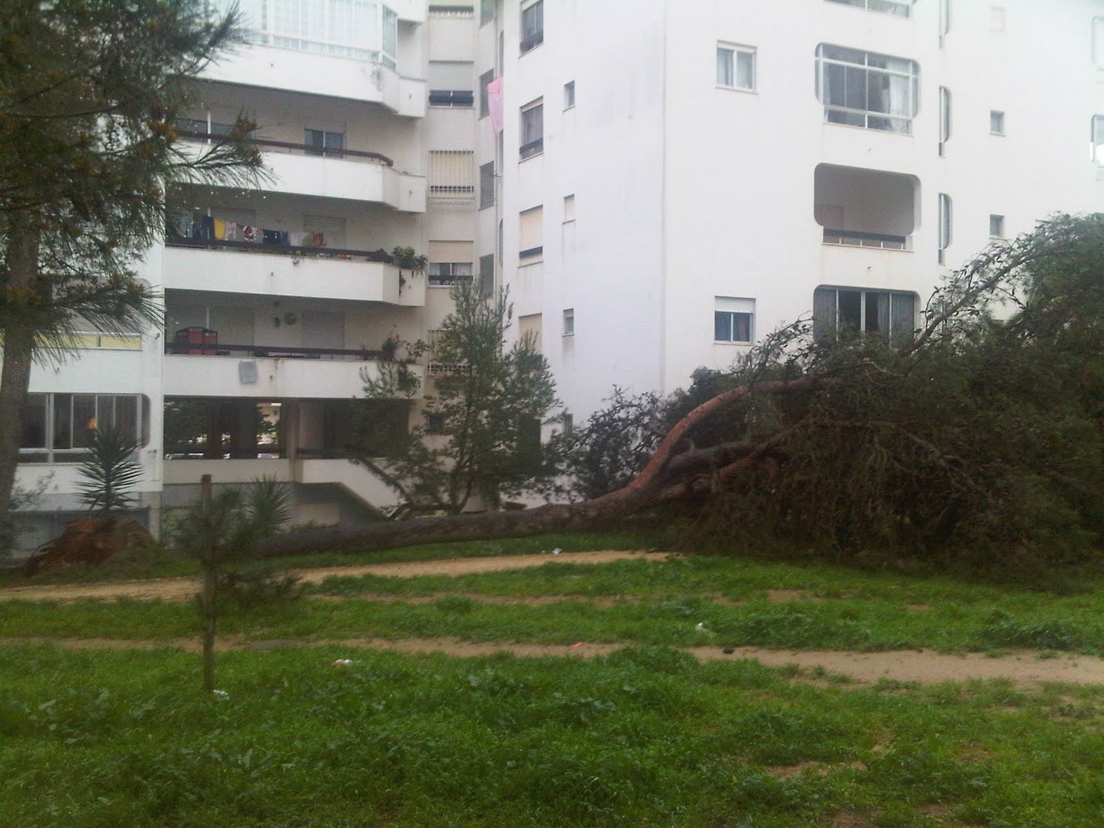 [IMG00317-20100228-1801.jpg]