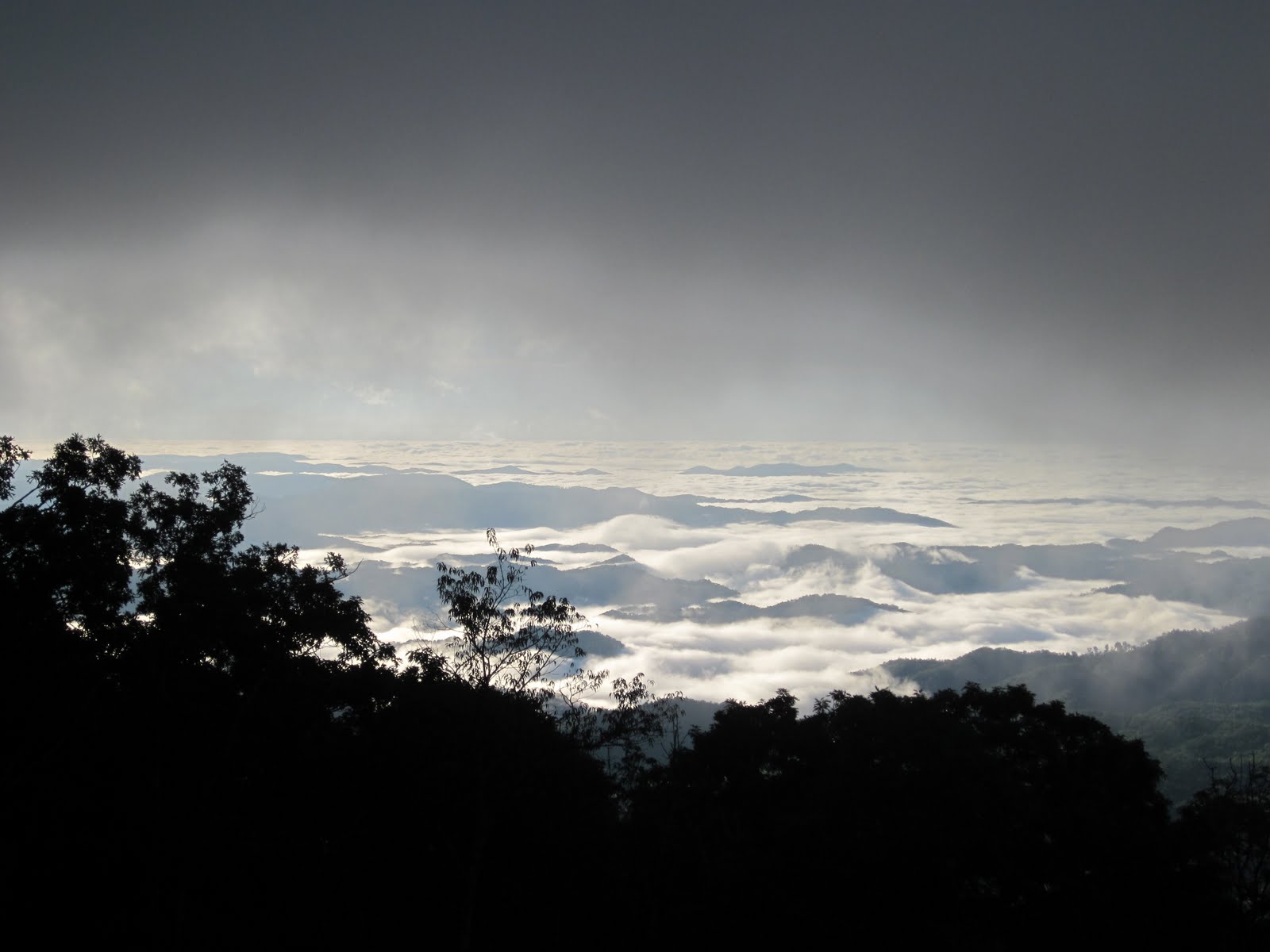 Smoky Scout's Hiking Adventures The Tanawha Trail