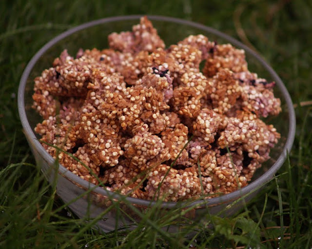Aubergine, Sweet & Green Quinoa Granola with Coconut, Blueberries and Raspberries