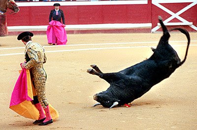 Bullfighting_1.jpg