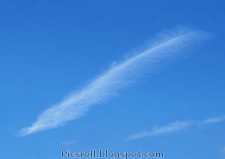 [pluma.jpg]