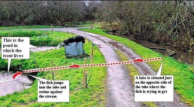 [2.jpg]