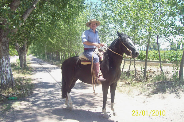 Paseos a caballo, una actividad opcional