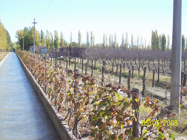 Canal del frente en otoño