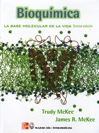 Aquí es whay usted debe hacer sobre alimentos que aceleran el metabolismo para quemar grasa
