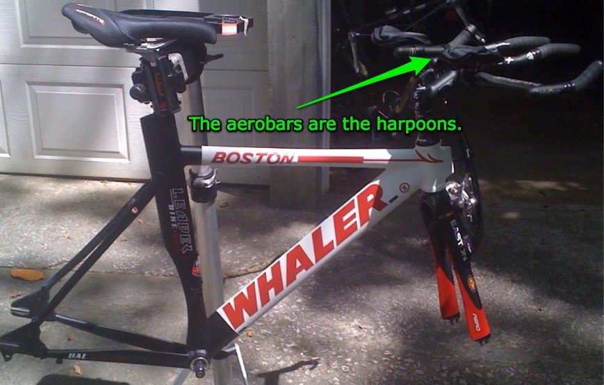 [boston+whaler+a.jpg]