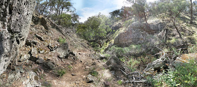 Ironbark Track (on the way back to the car) - Werribee Gorge State Park