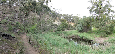 Melbourne Day-Walk: Coimadai Creek Hike - Long Forest Nature Conservation Reserve - Bacchus Marsh - Victoria