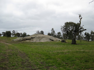 Woodlands Flora Trail & Woodlands Hill - Woodlands Historic Park - Greenvale - Victoria