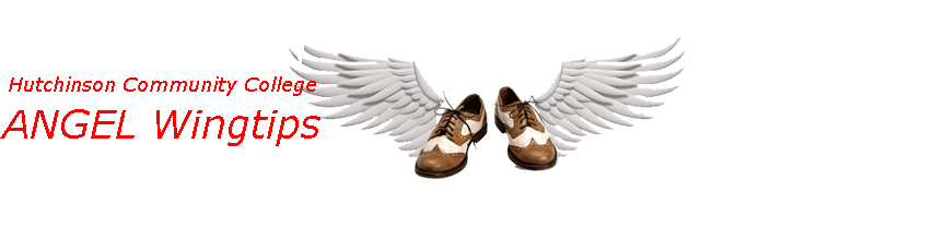 ANGEL Wingtips @ HCC