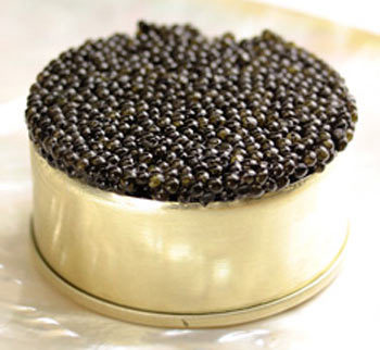 [caviar.jpg]