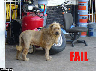 fail-owned-lion-fail.jpg