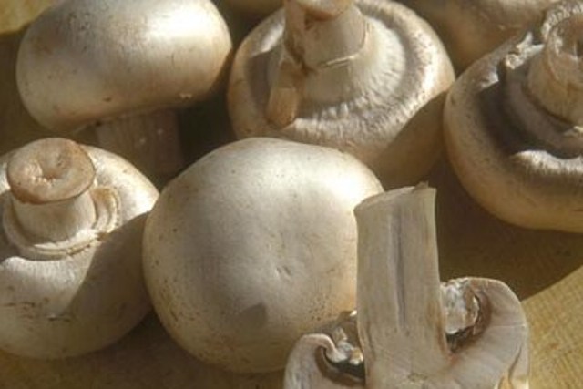 [09_11_8---Mushrooms_web.jpg]