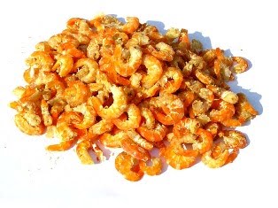 [shrimp.jpg]