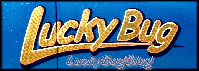 LuckyBugBlog