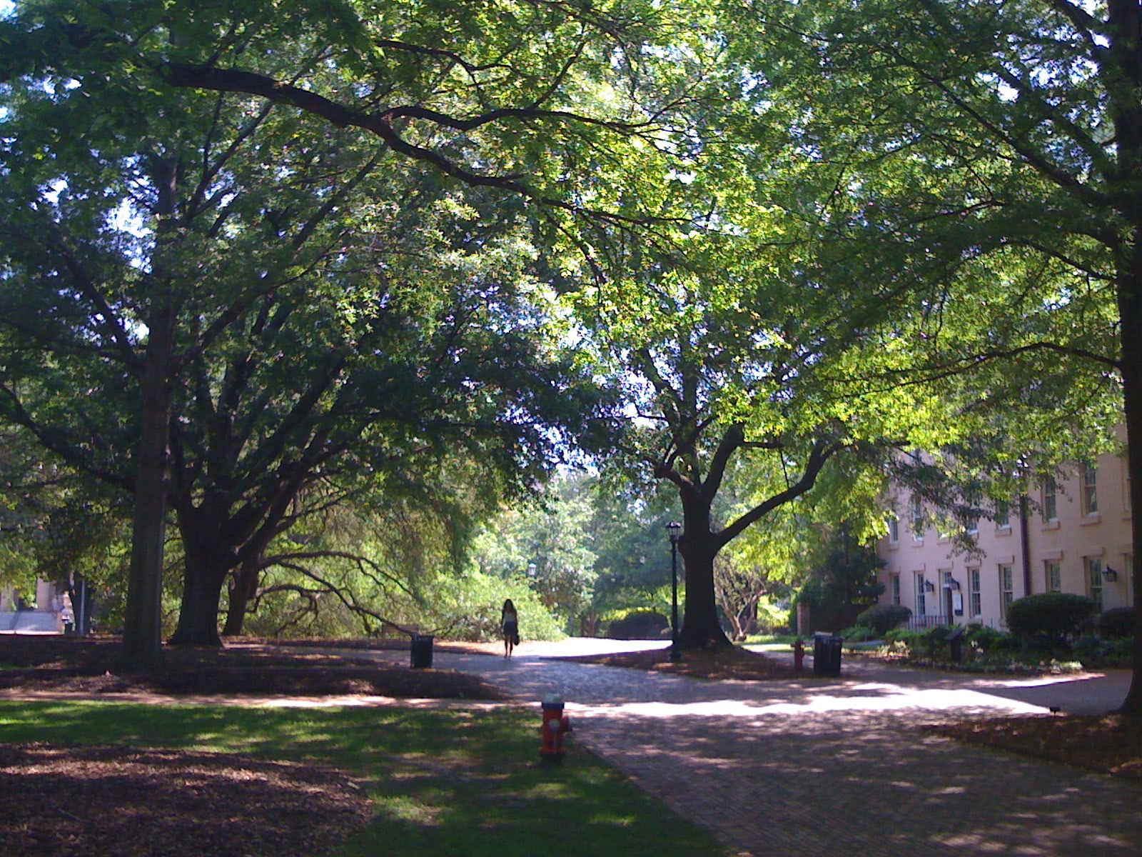 Hoodooo Knows....: Enjoyed the HORSESHOE at University of South