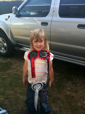 Horse_Show_Rosettes