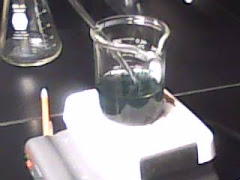 we heated the solution and stirred it until the solutioin changed color