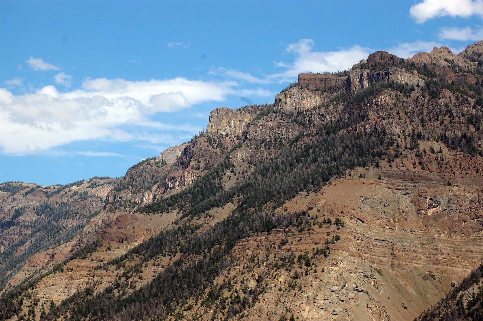 Happy Trails South Fork Road, Cody WY