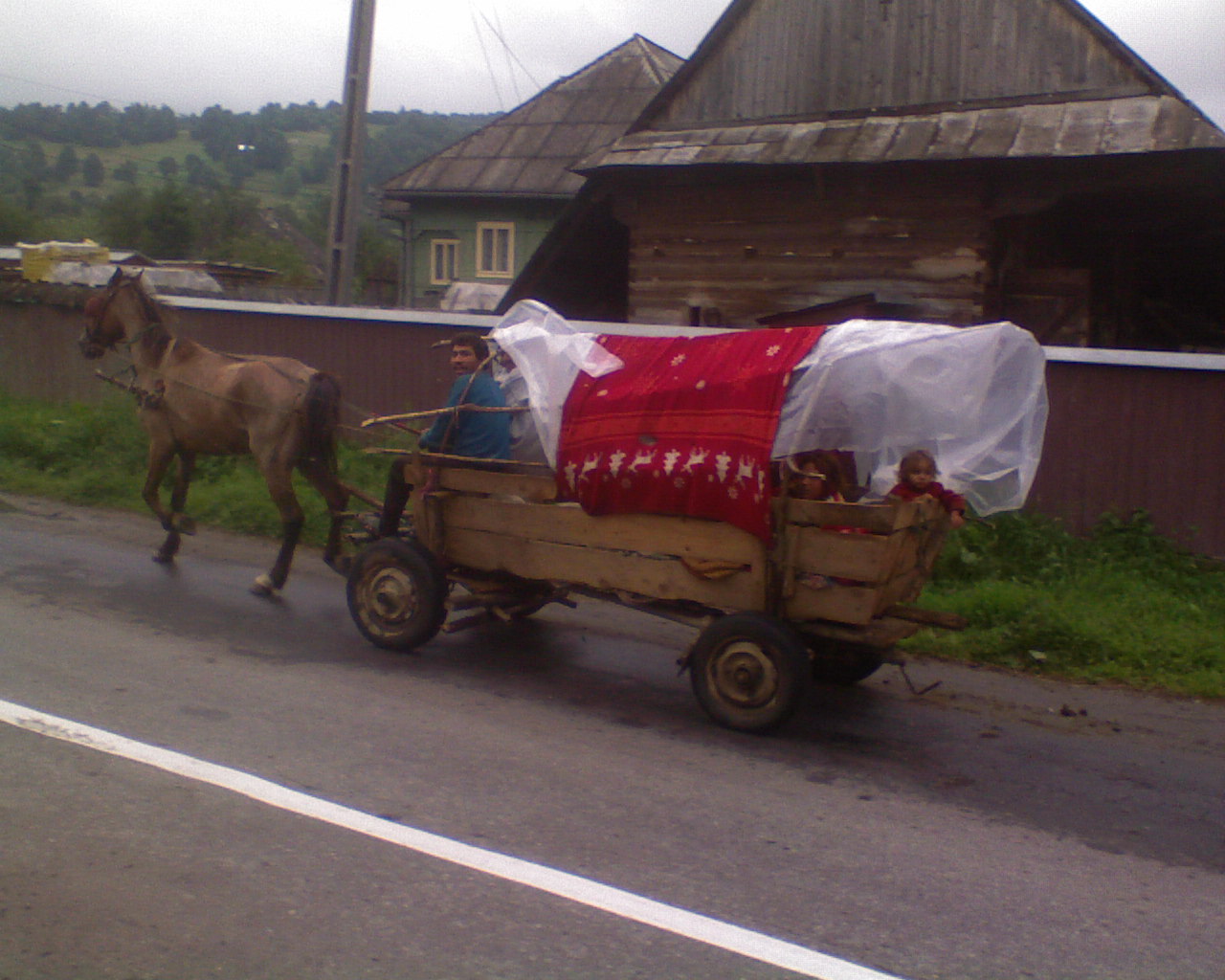 [DSC00049.JPG]