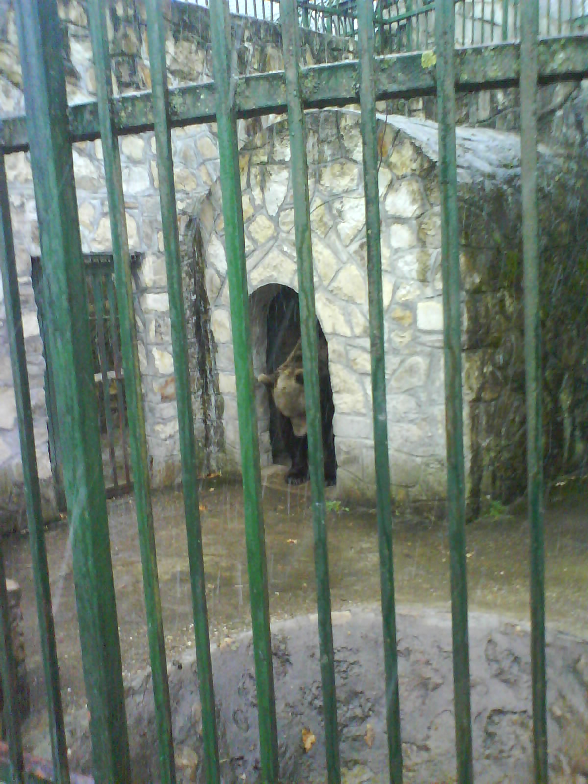 [DSC00036.JPG]